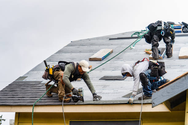 Professional Storm Damage Roof Repair technician working in Bussey, IA